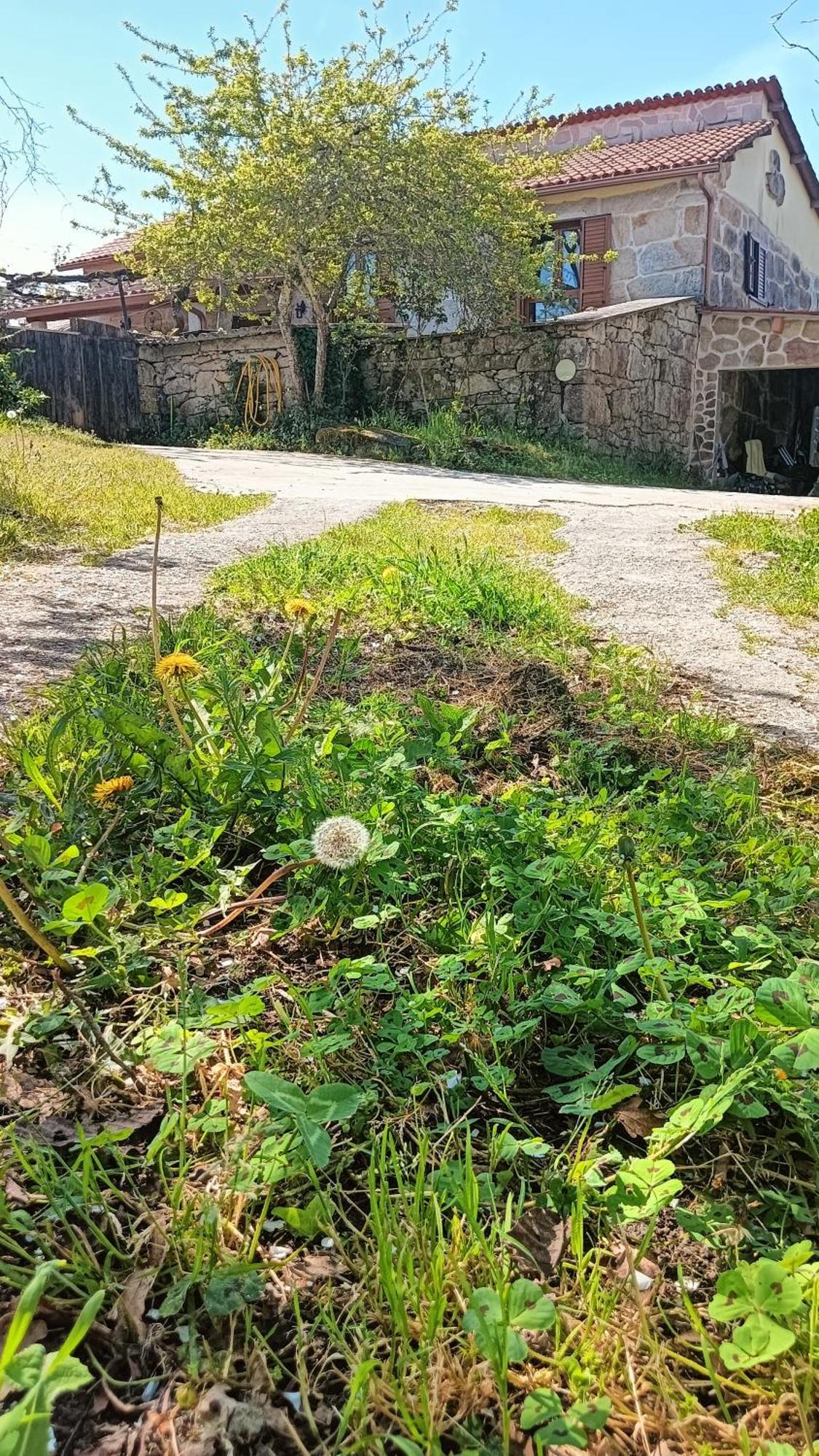 A Parrula, Mar, Rio Y Montana Villa Sotomayor Kültér fotó